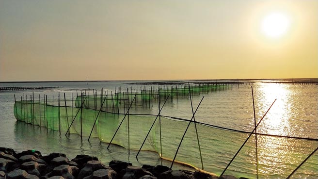 漁民在嘉義縣沿海架設定置網，撈捕鰻苗賺外快。（嘉義縣政府提供／張亦惠嘉縣傳真）