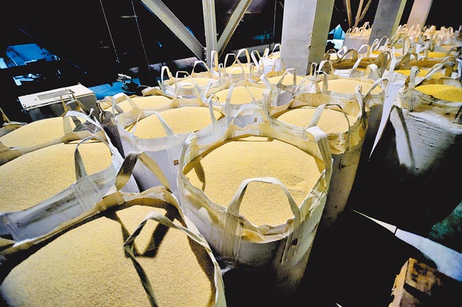 全台水情吃紧，西部稻作休耕，台东米价1台斤涨1元。（蔡旻妤摄）