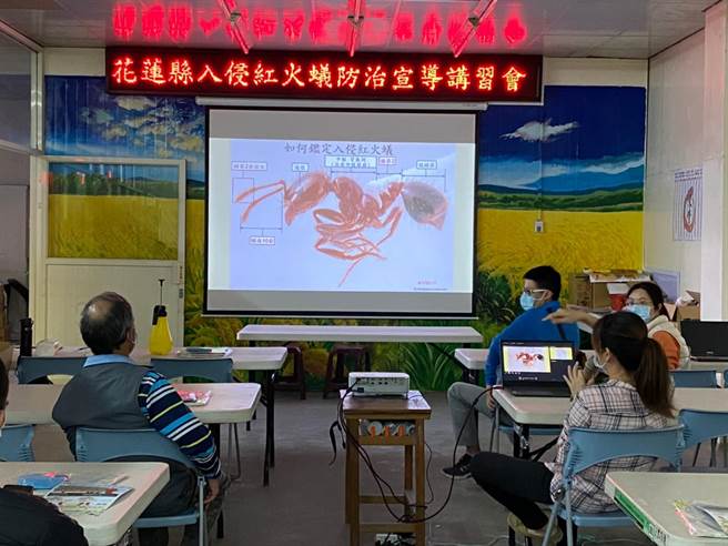縣府日昨邀農民認識紅火蟻，並請農民發下疑似蹤跡時，拍照通報，並注意防止被咬傷。（花蓮縣府提供／王志偉花蓮傳真）
