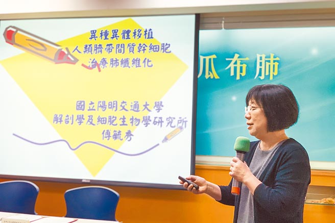 国立阳明交通大学研究团队以脐带间质研发干细胞疗法加速肺臟纤维化的肺泡细胞再生，26日签订技转合约。长期研究「菜瓜布肺」干细胞疗法的解剖学及细胞生物学教授傅毓秀(见图)说，肺纤维化原因包括空污、吸菸、老化、感染、遗传等，肺部交换气体的肺泡组织逐渐纤维化，这是不可逆的渐进性恶化过程且无药可医，病患平均存活时间是2到5年。（邓博仁摄）