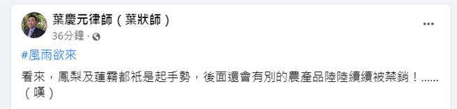 葉慶元認為，鳳梨及蓮霧被大陸禁銷都只是起手勢。（圖／摘自葉慶元臉書）