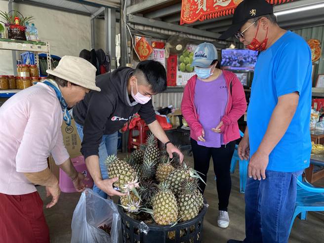 关庙凤梨零售据点连日来涌入许多民眾採买凤梨。(曹婷婷摄)