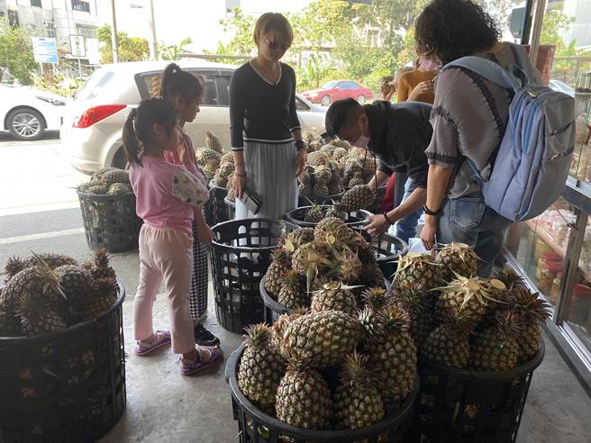 关庙凤梨零售据点连日来涌入许多民眾採买凤梨，买气激增6成。(曹婷婷摄)