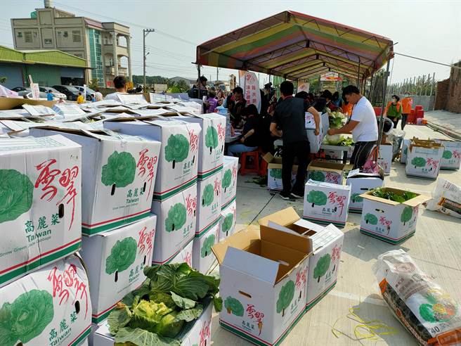 彰化县议员陈一惇与多个团体，认购超过2万公斤高丽菜，并制作高丽菜乾、泡菜等加工品进行义卖，在捐赠给弱势团体，让爱永续循环，创造更大价值。(吴建辉摄)