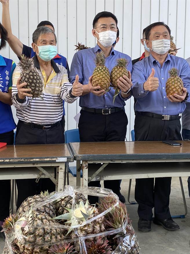 國民黨主席江啟臣今天到關廟鳳梨產區與農民、盤商座談，聽取農民心聲。(曹婷婷攝)