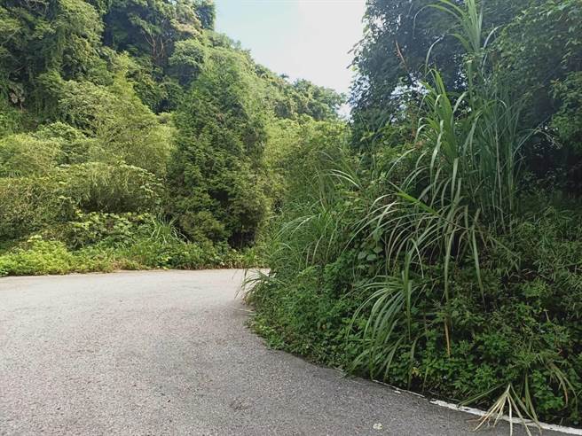 新社区永柜农路杂草锄草前。（台中市水利局提供／陈淑娥台中传真）