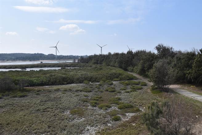 空气品质净化区选在掩埋场復育地栽植乔木。（谢明俊摄）