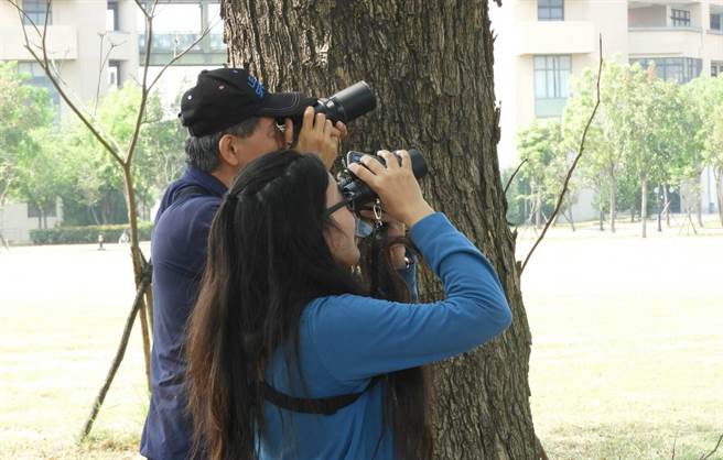 高雄大学注重环境教育，图为高雄鸟会关心黄鹂鸟情形。（社团法人高雄市野鸟学会提供／林瑞益高雄传真）
