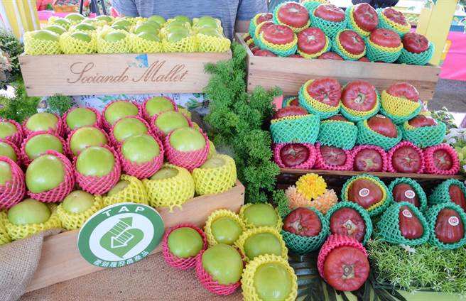 农民致力种出品质好的果品，且「惦惦做」，避免遭政治风暴波及。（林和生摄）