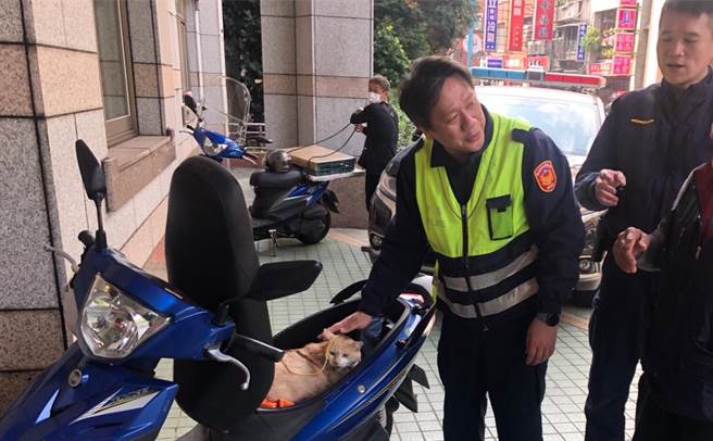 胖猫「阿咪」上月27日被70岁廖姓男子偷走，警方循线通知廖嫌到案并寻获阿咪。（翻摄）