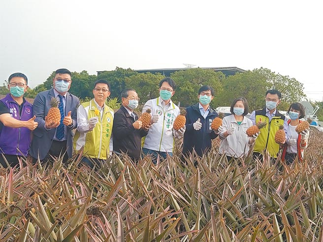 蔡英文总统昨日视察大树凤梨产销，呼吁农民「免惊免烦恼政府挺您」。（林雅惠摄）