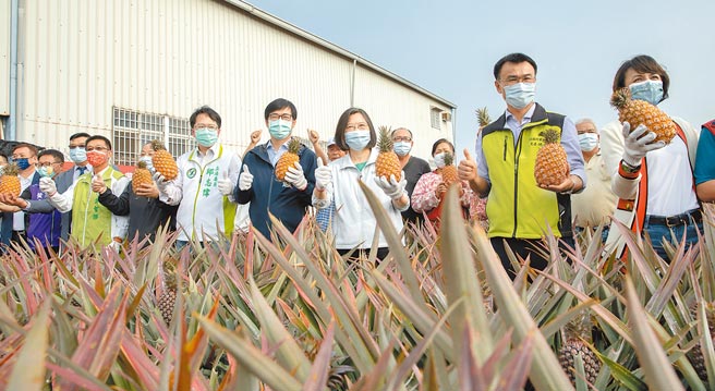 蔡英文总统（中）昨赴高雄市大树区访视凤梨农友，包括高雄市长陈其迈、农委会主委陈吉仲以及多名立委均陪同，高喊力挺农民。（总统府提供）