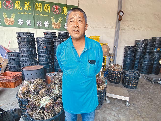 关庙凤梨农黄百练直指政府要真正照顾农民，不要只是一次性砸10亿元抢救凤梨。（曹婷婷摄）