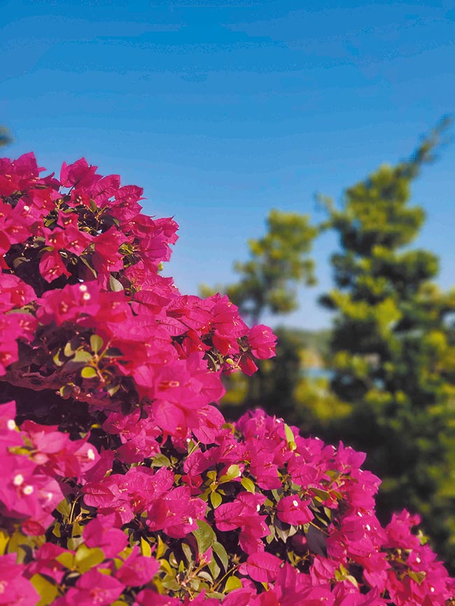 三星 Galaxy S20 FE