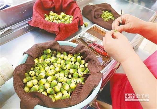 國民黨立委林為洲指出，台灣檳榔出口幾乎100%仰賴大陸。（圖／資料照）