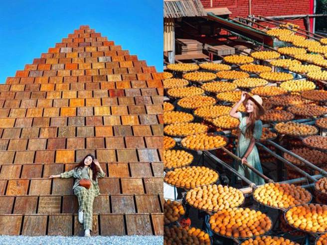 新竹 秋冬必去新埔景点 金黄柿饼海、金字塔还有彩虹水管屋(图/ReadyGO 提供)