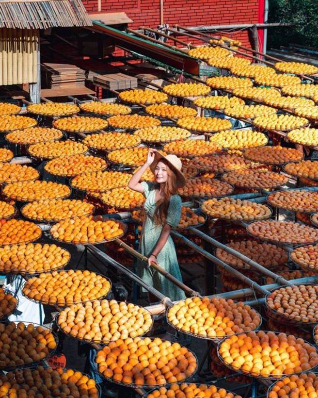 味卫佳柿饼观光工厂(图/IG@spicy_pork_)