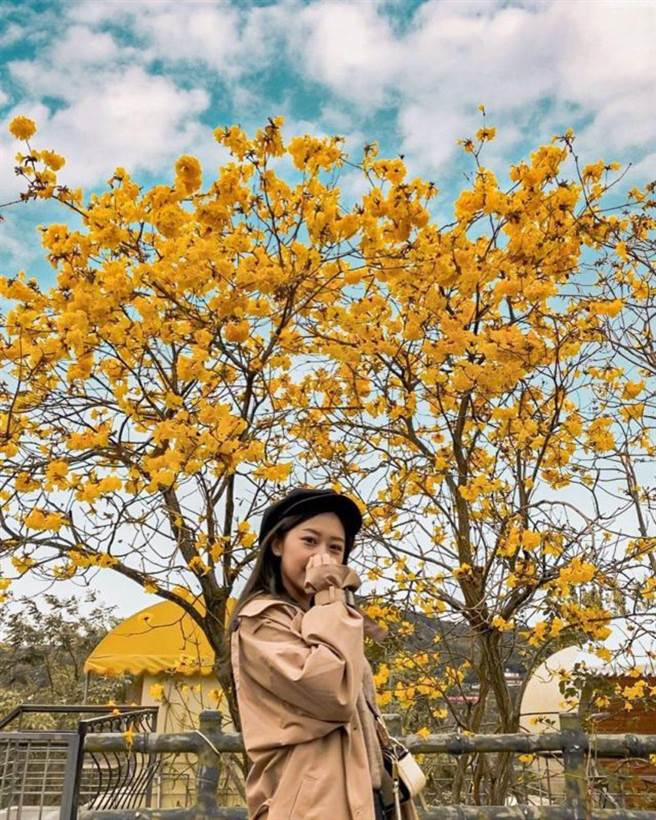 巨埔休閒农场(图/IG@vivian06041 提供)