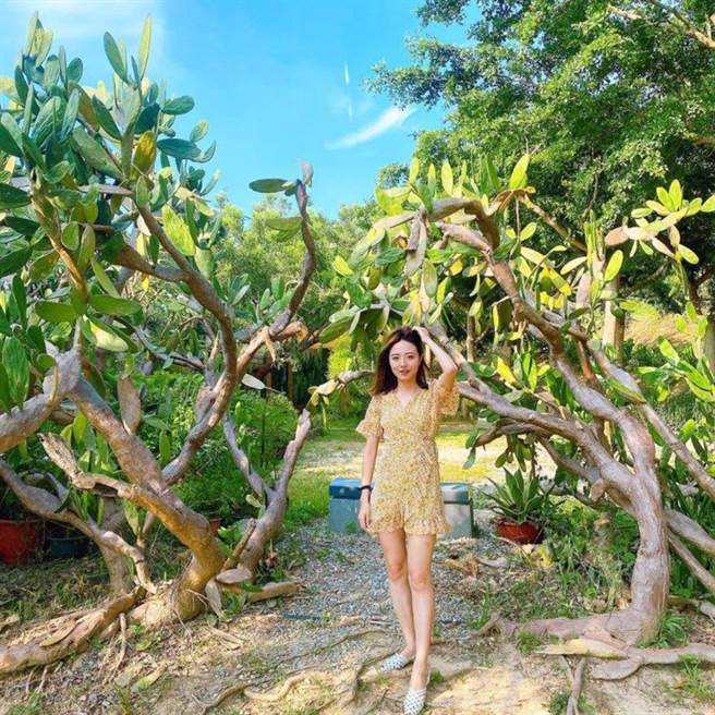 福祥仙人掌与多肉植物园(图/IG@qwe963qwe 提供)