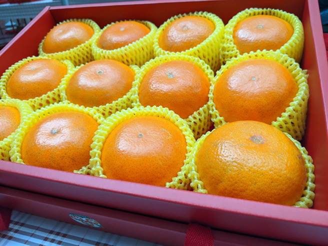 台中市茂谷柑產量全國排名第一，深受消費者喜愛。（盧金足攝）