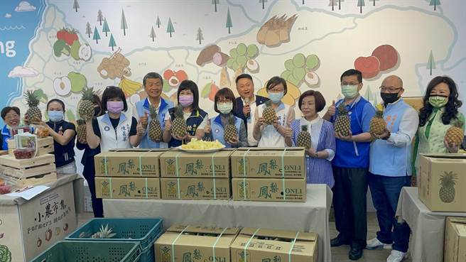 大陸禁止台灣鳳梨進口，國民黨高雄市黨部2日舉行小農市集，黨籍立委吳怡玎、高市正副議長、議員們共同出席行銷。（國民黨高市黨部提供／林宏聰高雄傳真）