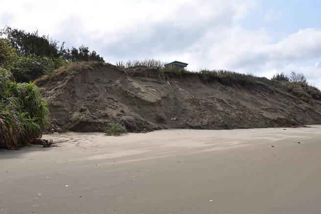 竹南镇假日之森海滨沙岸悬崖，春节前发生严重崩坍。（谢明俊摄）