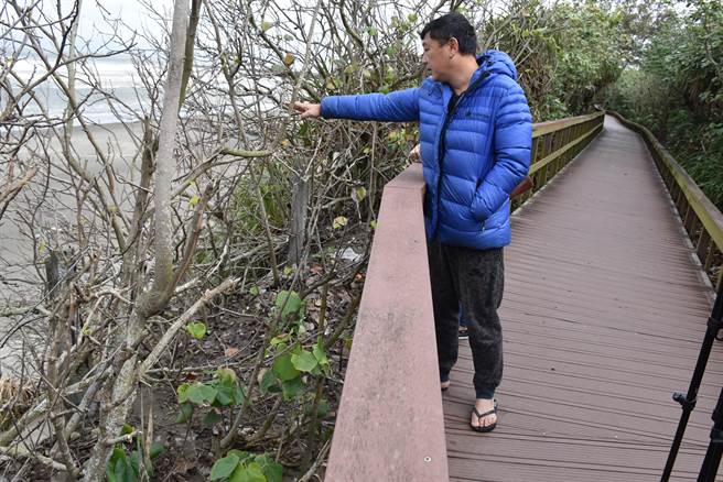 竹南镇假日之森海滨沙岸悬崖，春节前发生严重崩坍，坍塌处已逼近假日之森自行车步道。（谢明俊摄）