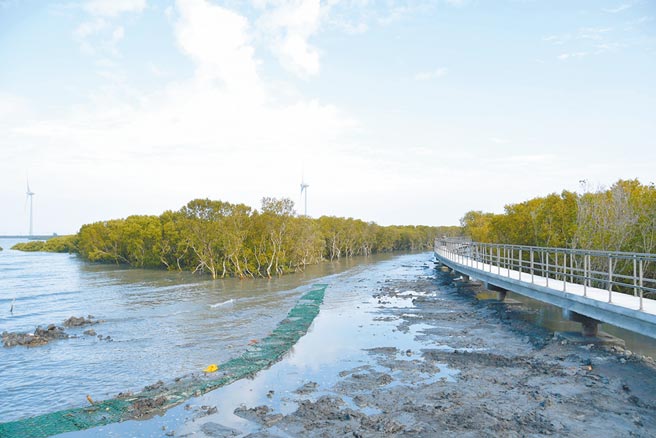 彰化县政府办理「芳苑溼地红树林暨其周边整体环境改善」，斥资9000万元打造，将成为全台唯一结合海牛文化与红树林溼地的旅游景点。（县府提供／吴建辉彰化传真）