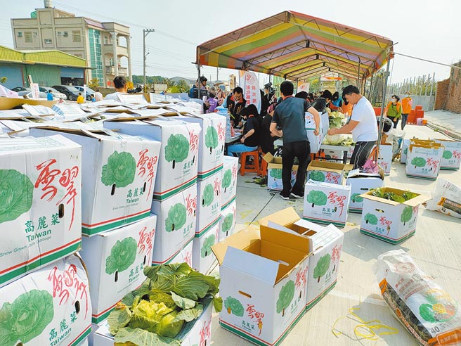 彰化县议员陈一惇与多个团体，认购超过2万公斤高丽菜，并制作高丽菜乾、泡菜等加工品进行义卖，捐赠给弱势团体，让爱永续循环，创造更大价值。(吴建辉摄)