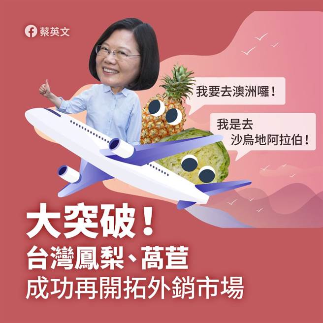 去年總統蔡英文指出，台灣鳳梨成功外銷到澳洲，但被抓包其實是「鳳梨乾」，並非新鮮鳳梨。（圖／摘自蔡英文臉書）