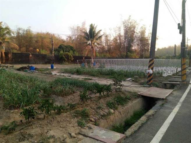 黄姓蒜农的蒜苗农地被窃贼偷採15公斤的蒜苗。（图／读者提供）