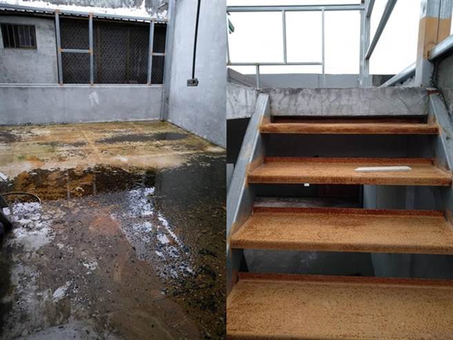工程行老板以各种理由延宕工程，一延至今仍未完工，导致新家没有屋顶，下雨后多处发霉、生锈、长青苔。（图／翻摄自脸书「爆料公社」）