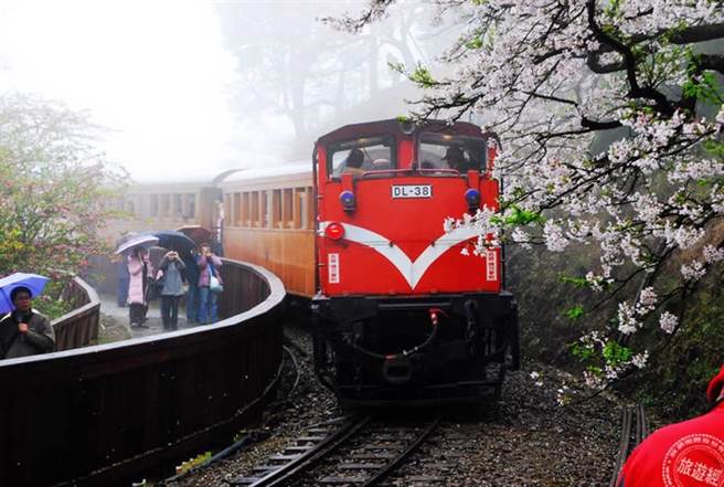 櫻花鐵道。（旅遊經提供）
