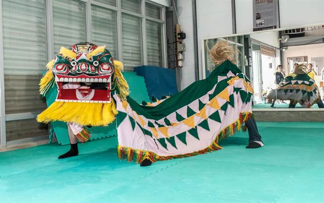 芎林金獅團表演客家獅，隨著鼓聲下腰準備躍起。（羅浚濱攝） 