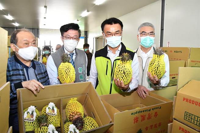 福农贸易公司董事长吴清绿（左）向农委会主委陈吉仲（右二）、台南市农业局长谢耀清（右）、立委郭国文解说凤梨分级包装过程。（台南市农业局提供／刘秀芬台南传真）