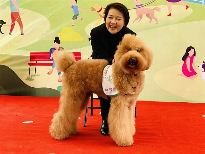 撇小蓝标籤组「绿色连线」？黄珊珊：本就该多交朋友。（吴康玮摄）