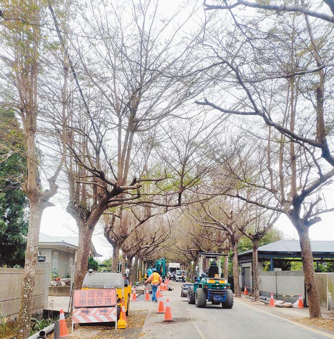 潮州绿色隧道启动电线地下化工程，完工后电力系统不再受到颱风影响，隧道整体视觉也更美观。（潘建志摄）