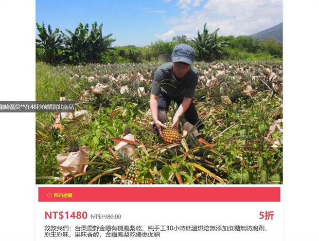无良诈骗集团利用一页式网页卖台东凤梨，企图滥用民眾爱心。（翻摄自该网站）