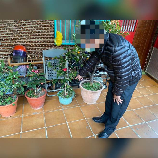 許男偷竊桂花盆栽捨不得變賣，留在家中欣賞。（警方提供／何冠嫻苗栗傳真）