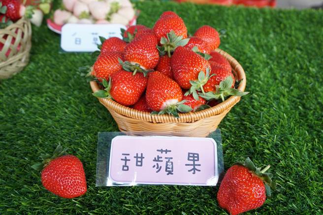 甜苹果草莓酸甜比适中。（王文吉摄）