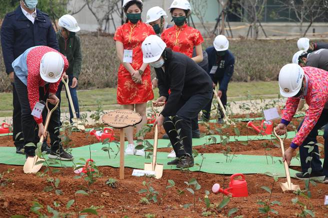 总统蔡英文4日来桃园龙潭视察「台湾客家茶文化馆」，并亲手种下茶树为工程祈福。（黄婉婷摄）