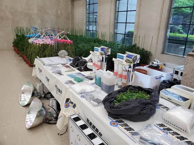 警方查扣大麻活株90株、乾燥54株、植栽工具、大麻葉等贓證物。(林郁平攝)