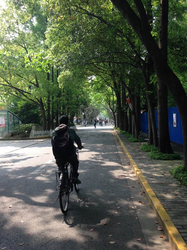 2021年QS学科排名出炉，中国大陆共有88校731个学科上榜，图为復旦大学校园(简立欣摄)