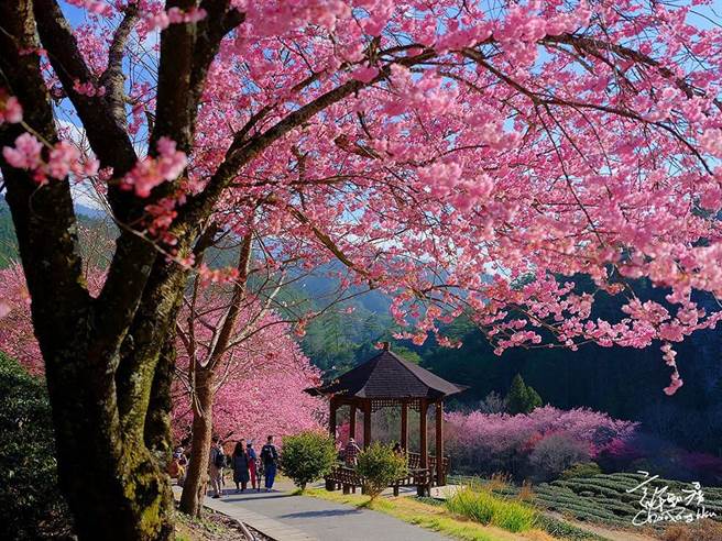 (图/1111人力银行提供)