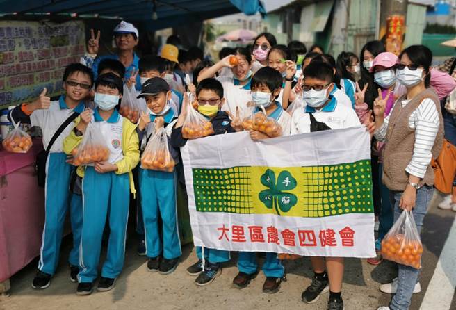 大里區農會推廣食農教育，瑞城國小四健推廣教育你農我農作業組，4日在瑞風無毒農場舉行研習活動，小朋友們實際下田採小蕃茄，個個滿載而歸。（黃國峰攝）