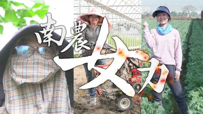 妇女节前，台南市政府农业局请来3位女农友拍摄影片行销，巾帼不让鬚眉。（台南市政府农业局提供／庄曜聪台南传真）