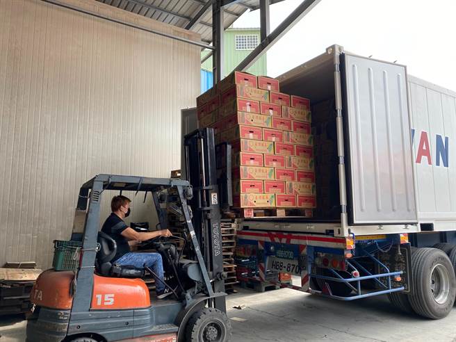 嘉义县梅山乡嘉祥合作社4日出口1货柜6.72公吨的凤梨到香港，图为装柜情形。（张亦惠摄）