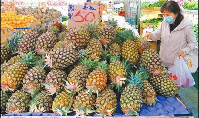 力挺果农传捷报！台湾凤梨即将上架新加坡25家连锁超市 北农：11日装箱、18日运抵开卖。（本报资料照）