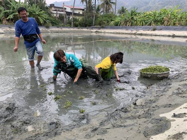 阿翔摔成泥人。（民视提供）