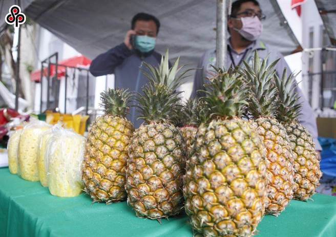 图为受大陆市场欢迎的金钻凤梨。（本报系资料照）